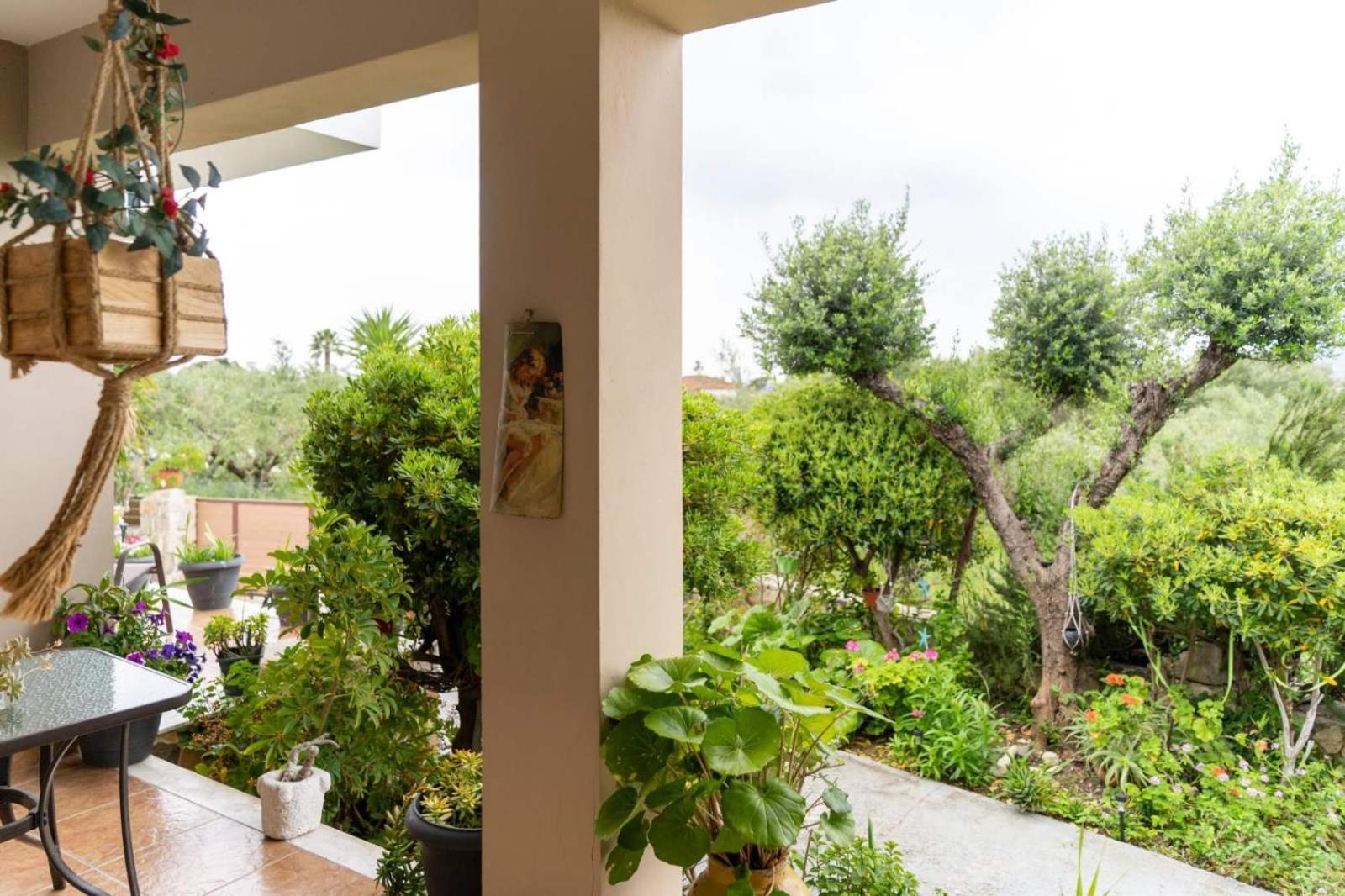Pura Vida Appartement Laganas