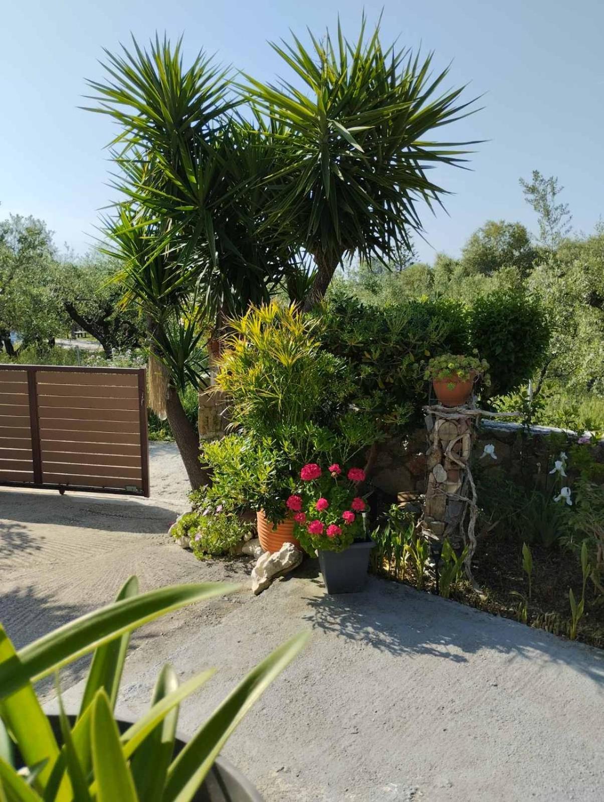 Apartament Pura Vida Laganas